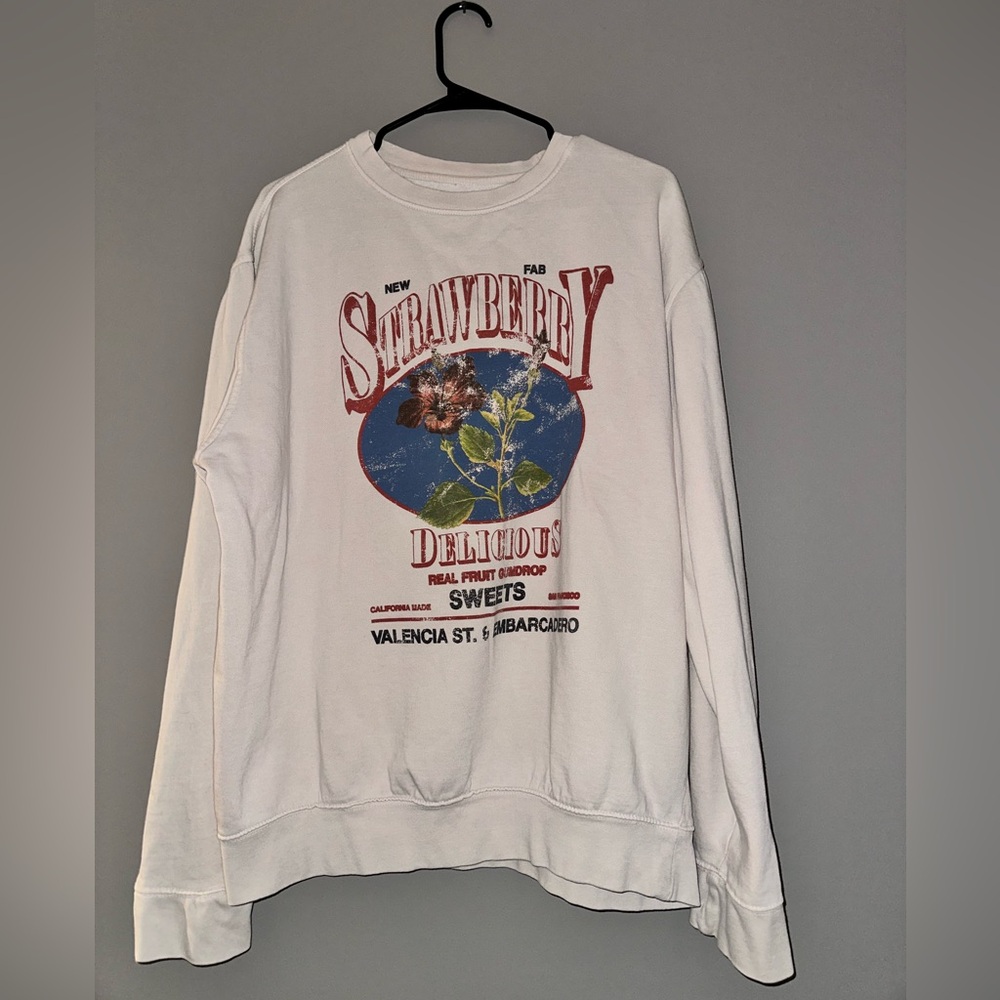 Urban Outfitters Strawberry Graphic Oversized Sweatshirt